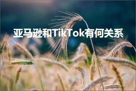 南京网站推广公司 跨境电商知识:亚马逊和TikTok有何关系